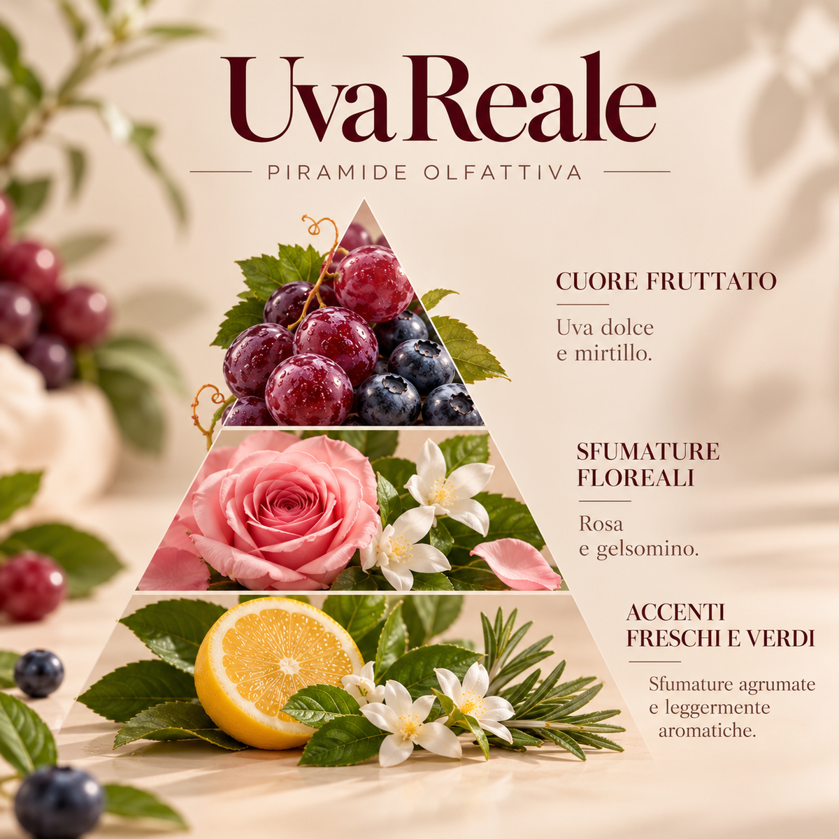 UVA REALE