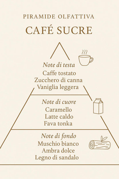 Diffusore Cafe Sucre 500ml