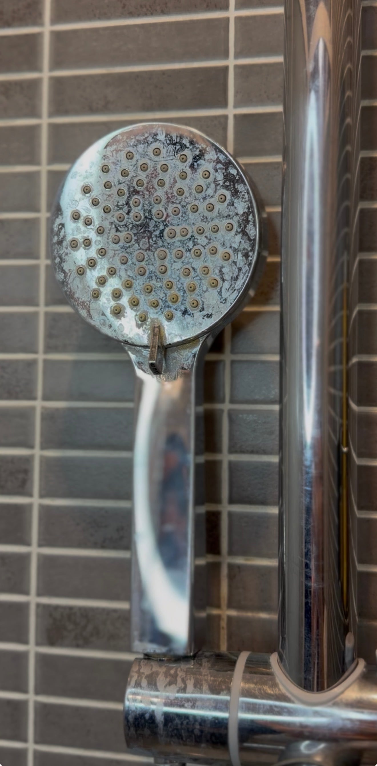 SHINESTEEL – Disincrostante per acciaio e ceramica